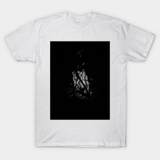 Fireplace T-Shirt